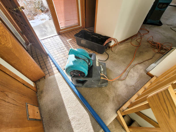 Best Flood restoration services  in Somerset, KY