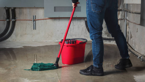 Best Flood restoration services  in Somerset, KY