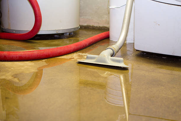 Best Water damage repair service  in Somerset, KY