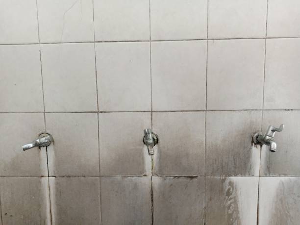 Best Carpet water damage restoration  in Somerset, KY