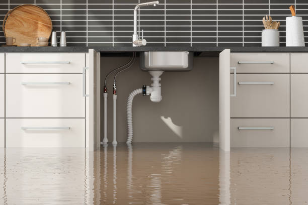  Somerset, KY Water damage restoration Pros