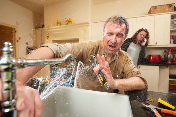 Best Water damage restoration insurance claims  in Somerset, KY